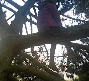 Westfalienpark Dortmund -live Konzert