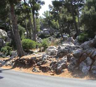 Straße nach Sa Coma