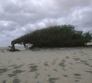 Buggy tour lagoa de paraiso