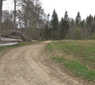 Vulkankrater-Rundweg Apfelstetten
