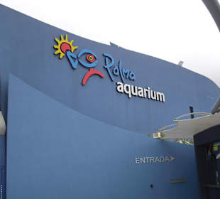 Aquarium 20-30min zu laufen