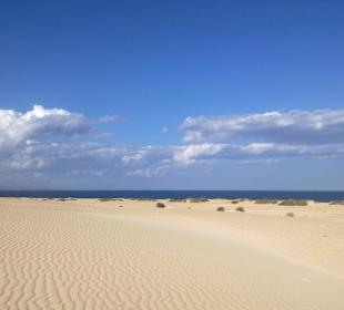 Mar de dunas