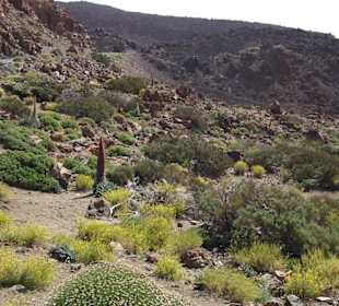 Aussicht Fahrt zum El Teide