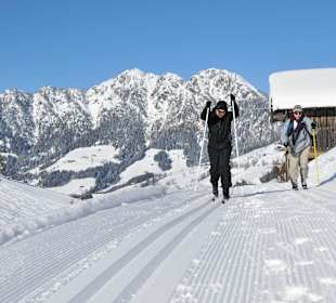 Skigebiet Alpbachtal
