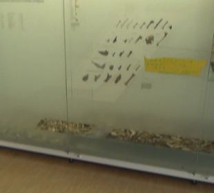 Archäologisches Landesmuseum