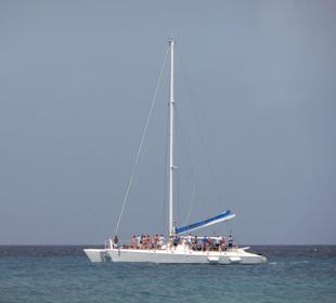 Zu voll für meinen Geschmack