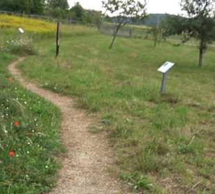 ALB-GOLD Naturgarten