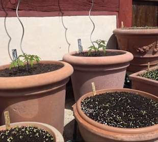 Fachwerkhaus Altenhoferstraße 3