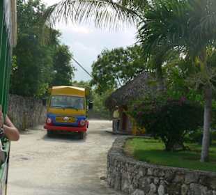 Manati park bavaro
