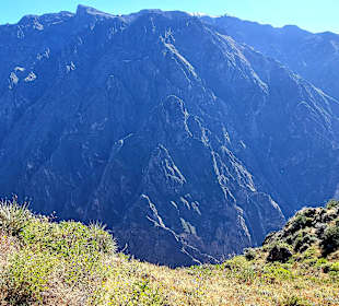 Colca-Canyon