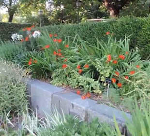 Real Jardín Botánico de Madrid