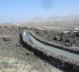 Salinas de Janubio