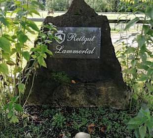 Wandern Annaberg im Lammertal