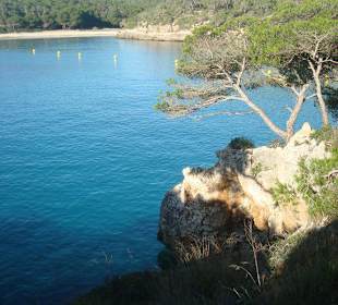 Blick vom Wanderweg aufs Meer