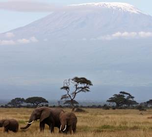 Amboseli Nationalpark