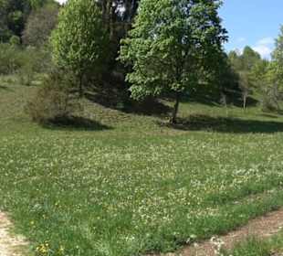 Premiumwanderweg Hochgehschätzt