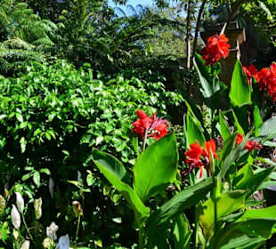 Botanischer Garten 