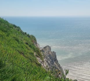 Meer