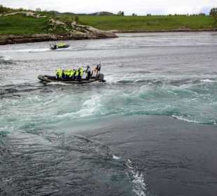 Salstraumen - Bootsausflug