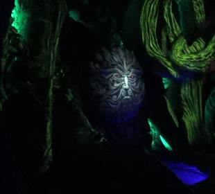 Themenbereich Island