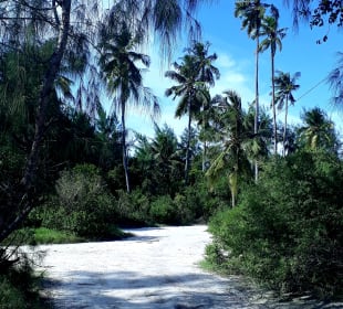 Der Weg ist das Ziel