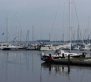 Stralsund Hafen