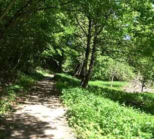 Wiesaztal Gönningen