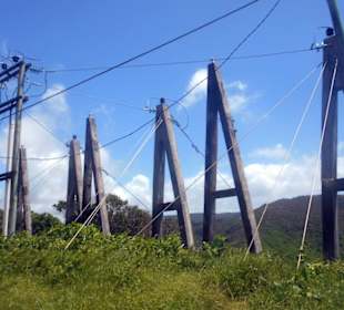 Mauritius Andrea Rodrige deutscher Tourist Guide