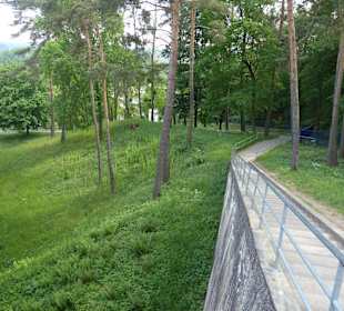 Schiffshebewerk Niederfinow