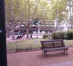Parque de la Catedral