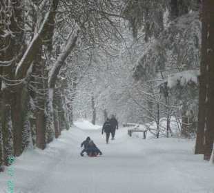 Vom Brocken hinunter