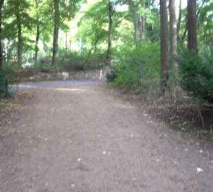 Großer Tiergarten