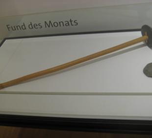 Rheinisches Landesmuseum