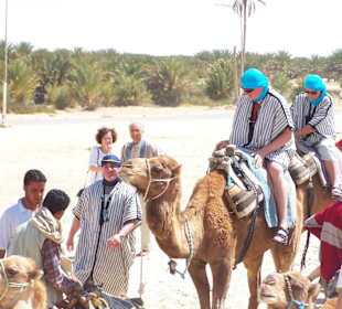Jízda na velbloudech