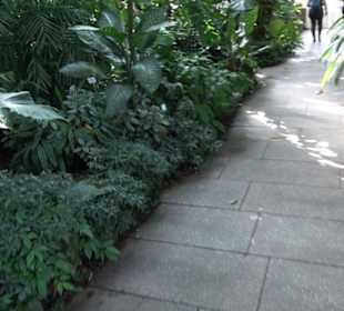 Gewächshäuser Botanischer Garten