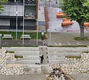 Sitzstufen