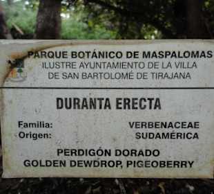 Parque Botánico de Maspalomas