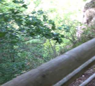 Locherstein Traifelberg