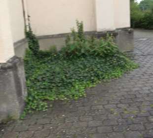 Kirche St. Dionysius Dettingen