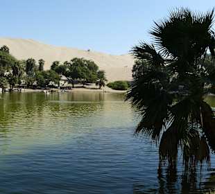 Oaza Huacachina