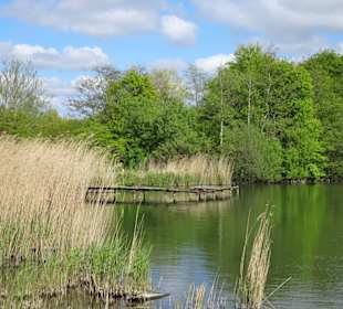 Eindrücke vom Rundgang im Seenpark