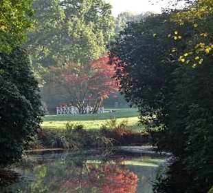 Herbstspaziergang durch den Schlosspark Lütetsburg