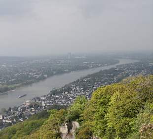 Drachenfels