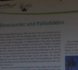 Geologischer Lehrpfad Kirnbachtal