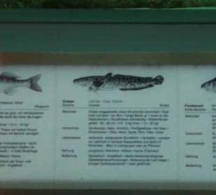 Naturkundemuseum