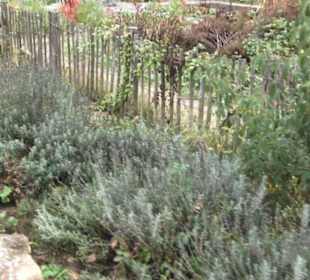 Umweltbildungszentrum Listhof