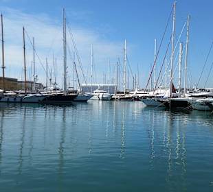 Hafen von Palma de Mallorca im März 17