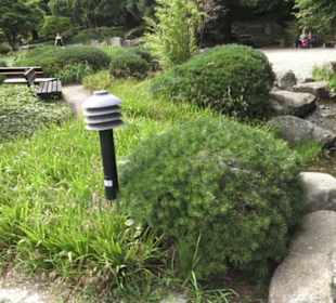 Japanischer Garten