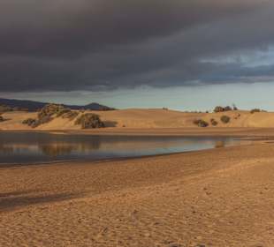Dünen von Maspalomas
