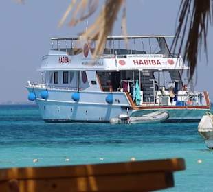 Delfinschwimmen Hurghada mit Joseph&Marlen